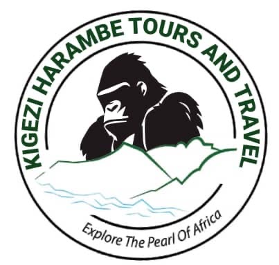 Kigezi Harambe Tours And Travel